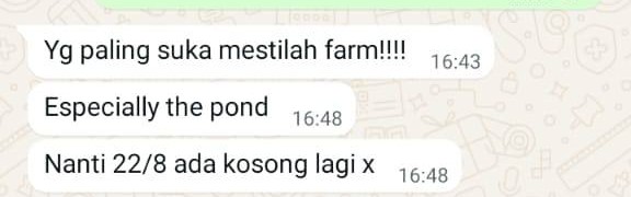 Guest review Puan Farha